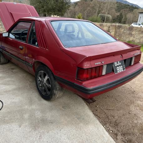 Ford mustang v8