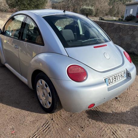 New beetle