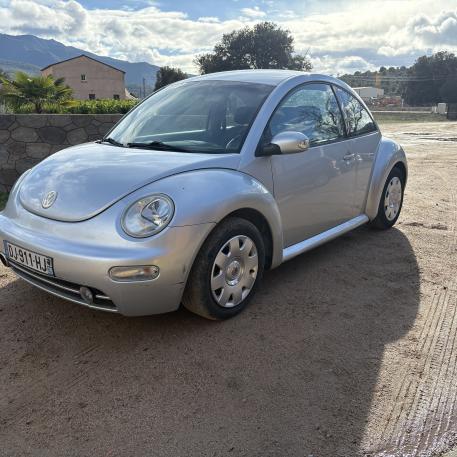 New beetle