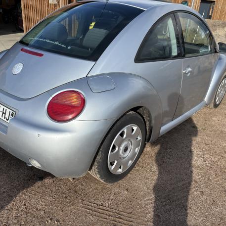 New beetle
